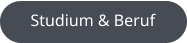 Studium & Beruf